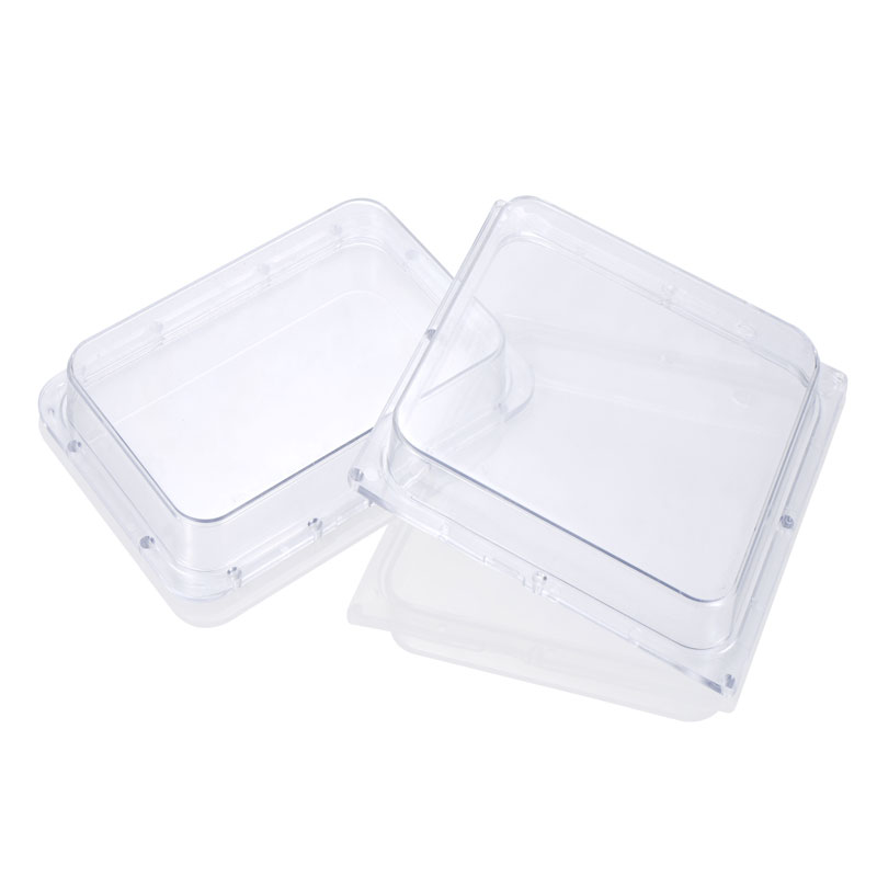 PC塑料足球初盘和即时盘对比分析生产中如何解决气泡?(图1)